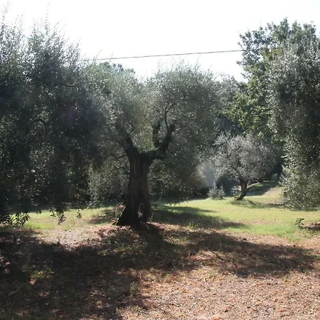 Violetta Villastrada (Umbria)